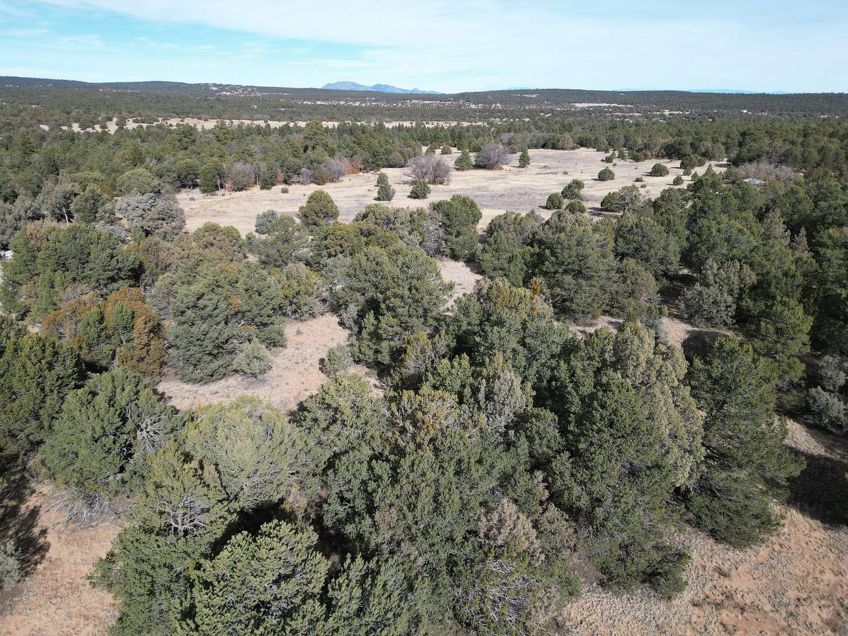 1 Acre of Land for Sale in Tijeras, New Mexico
