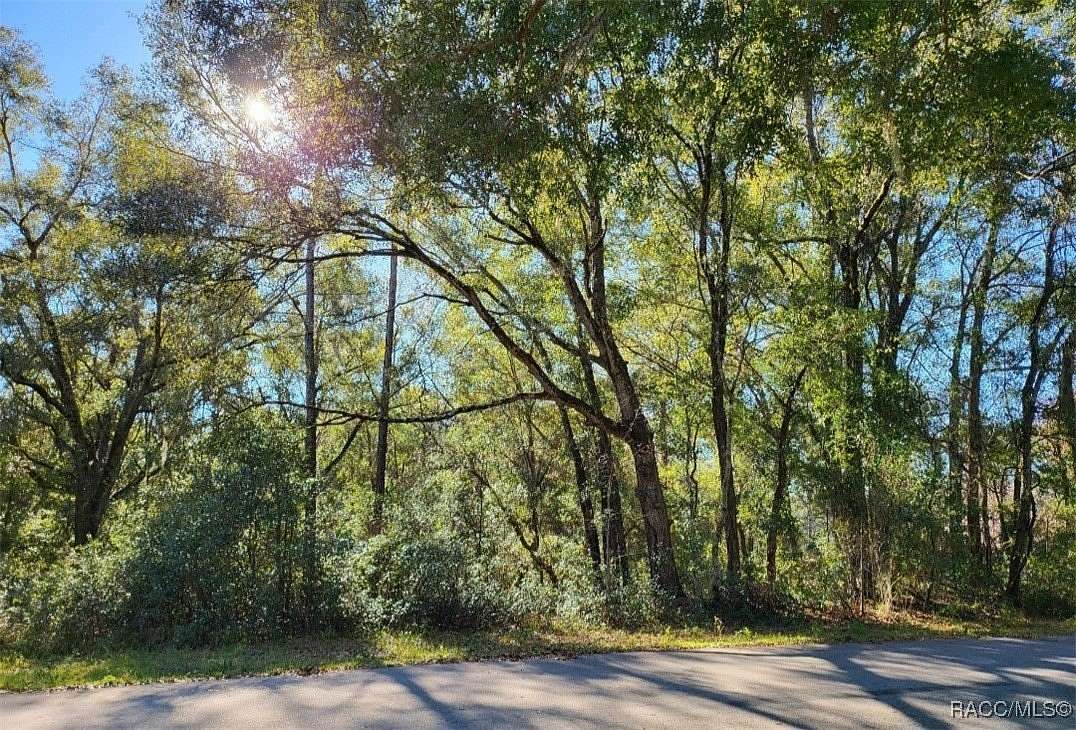 0.3 Acres of Residential Land for Sale in Dunnellon, Florida