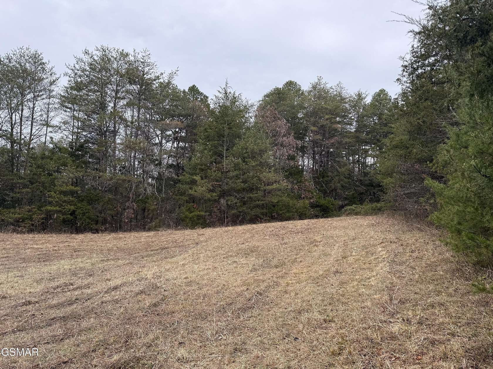 17.5 Acres of Land for Sale in Parrottsville, Tennessee