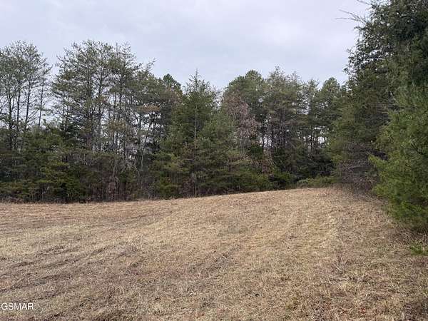 17.5 Acres of Land for Sale in Parrottsville, Tennessee