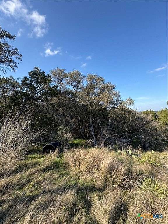 0.8 Acres of Land for Sale in Burnet, Texas