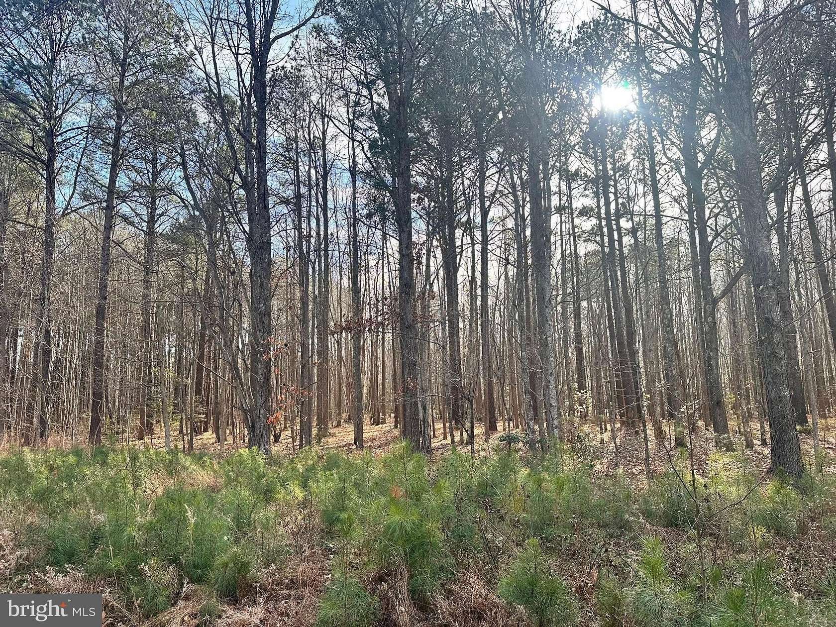 0.81 Acres of Residential Land for Sale in Heathsville, Virginia