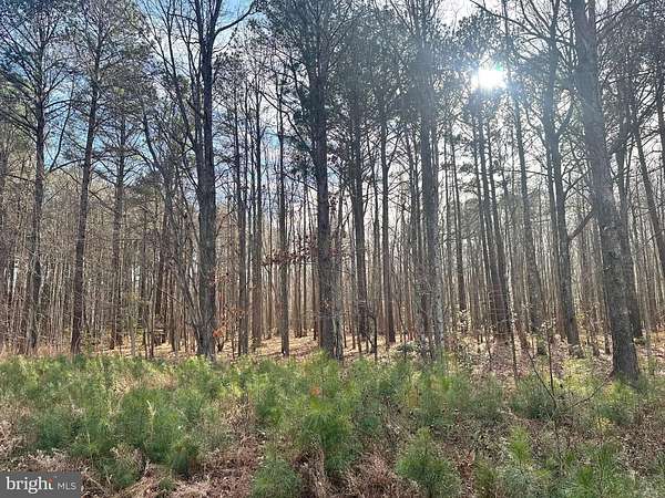 0.81 Acres of Residential Land for Sale in Heathsville, Virginia