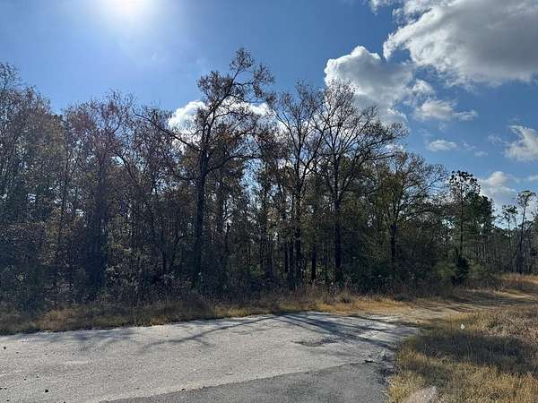 1.5 Acres of Residential Land for Sale in Douglas, Georgia
