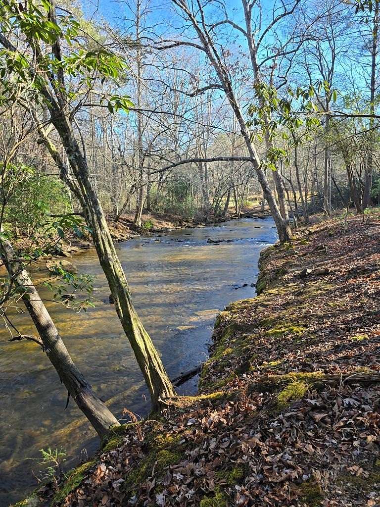5.15 Acres of Residential Land for Sale in Epworth, Georgia