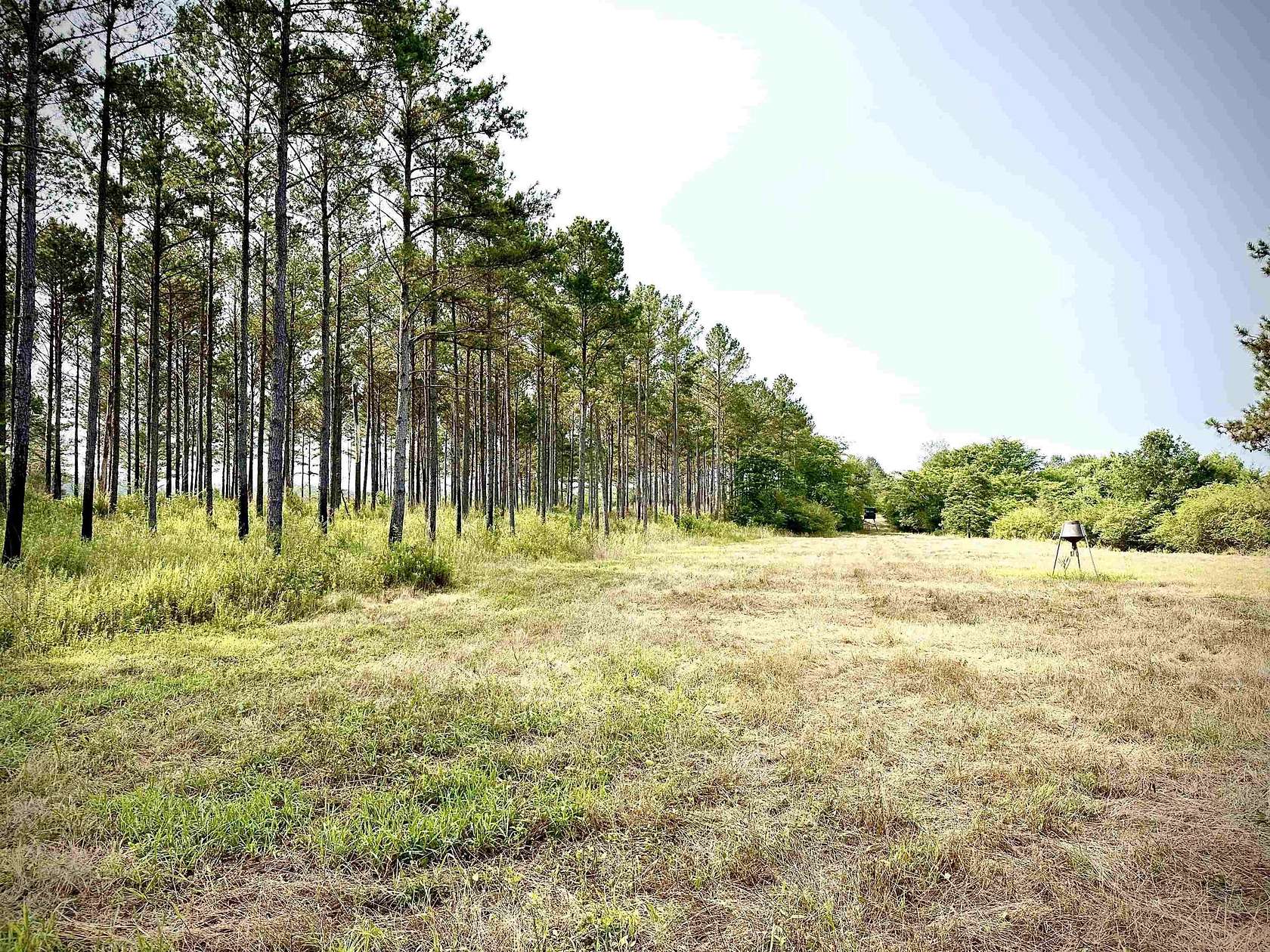 558 Acres of Land for Sale in Carbon Hill, Alabama