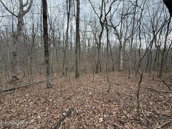 4.1 Acres of Residential Land for Sale in Monterey, Tennessee