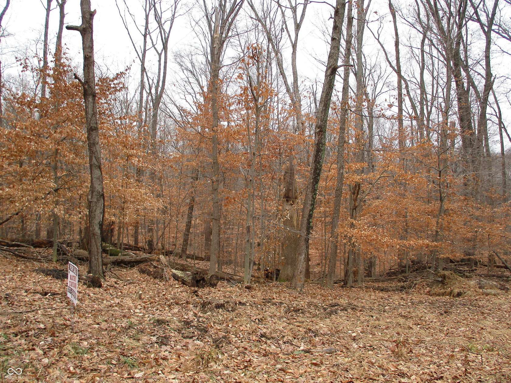 0.5 Acres of Residential Land for Sale in Martinsville, Indiana