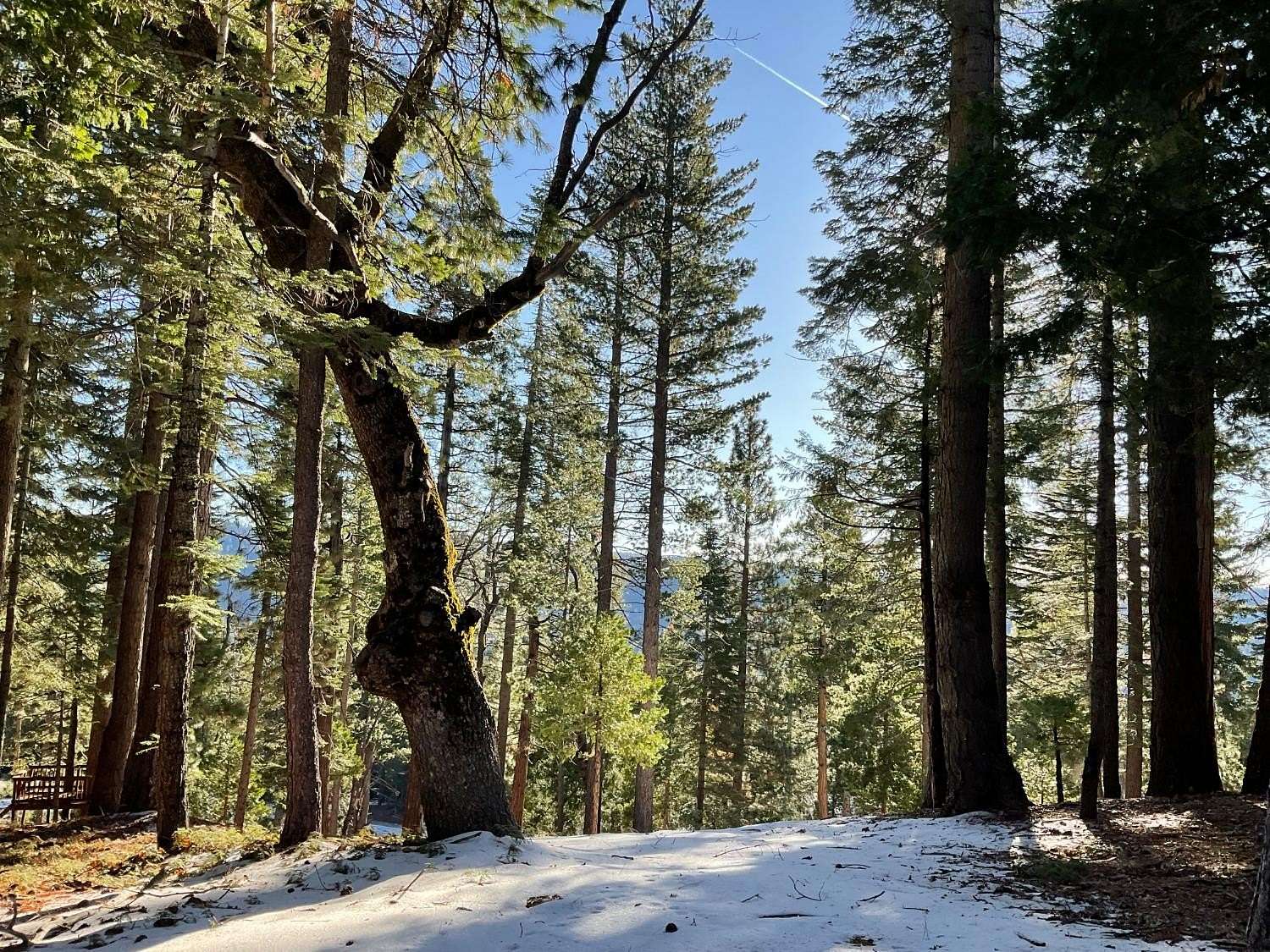 0.68 Acres of Residential Land for Sale in Camp Connell, California