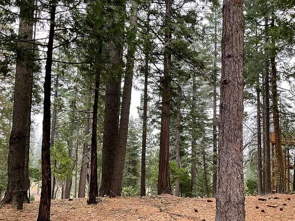 0.68 Acres of Residential Land for Sale in Camp Connell, California