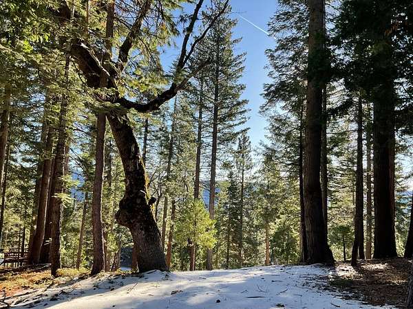 0.68 Acres of Residential Land for Sale in Camp Connell, California