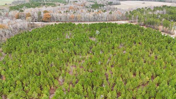 27.9 Acres of Recreational Land for Sale in Summerton, South Carolina