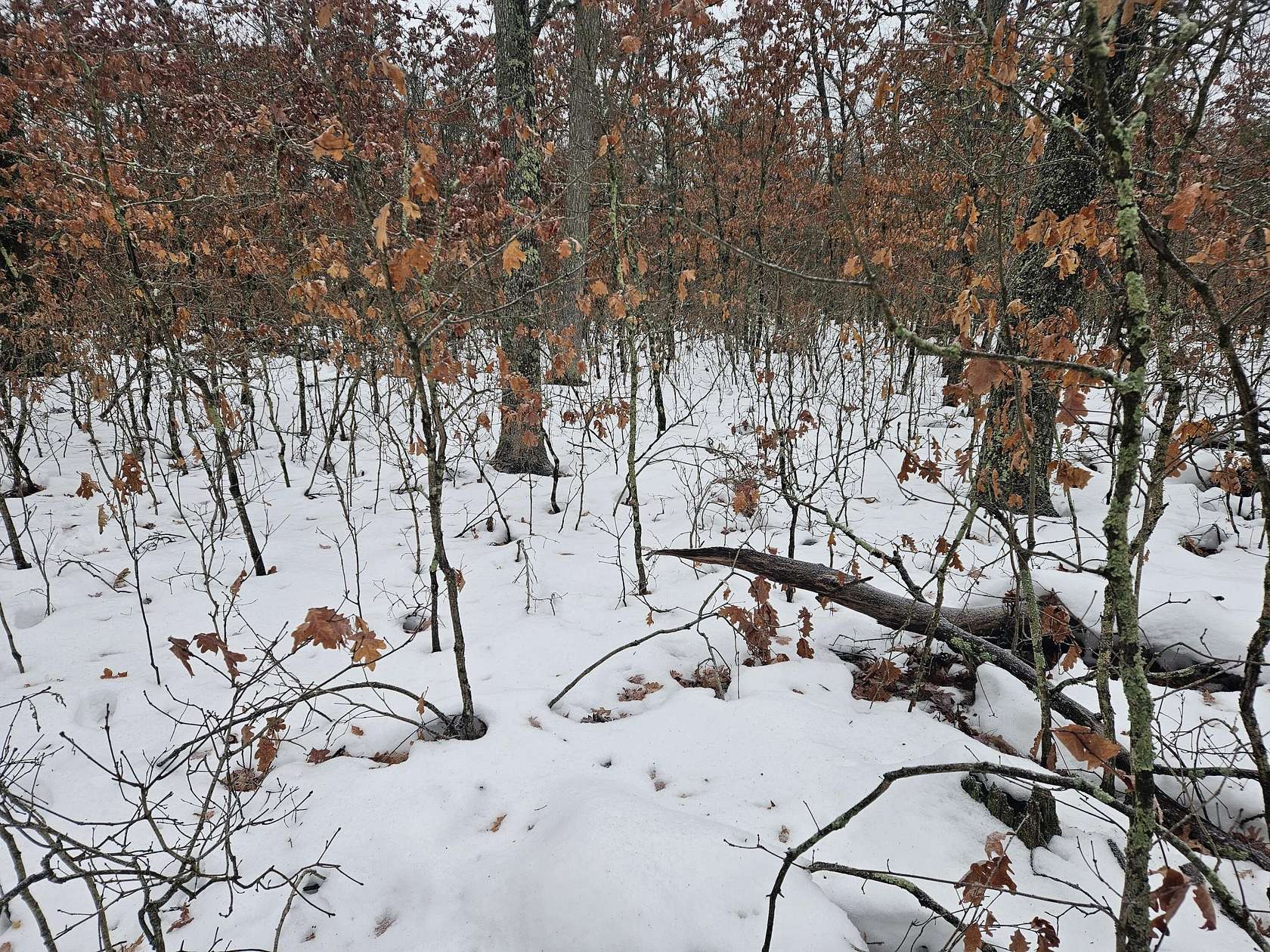 0.28 Acres of Land for Sale in Baldwin, Michigan