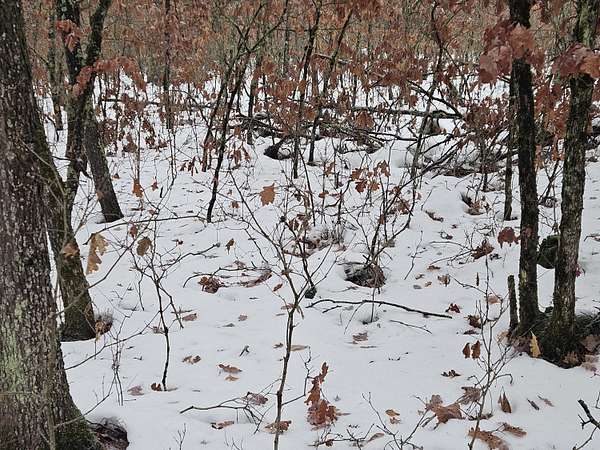 0.28 Acres of Land for Sale in Baldwin, Michigan