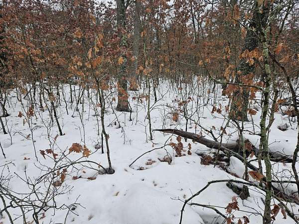 0.28 Acres of Land for Sale in Baldwin, Michigan