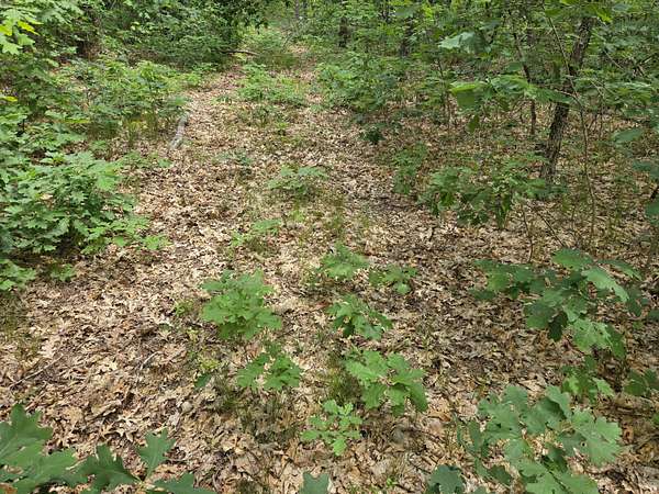 0.28 Acres of Land for Sale in Baldwin, Michigan