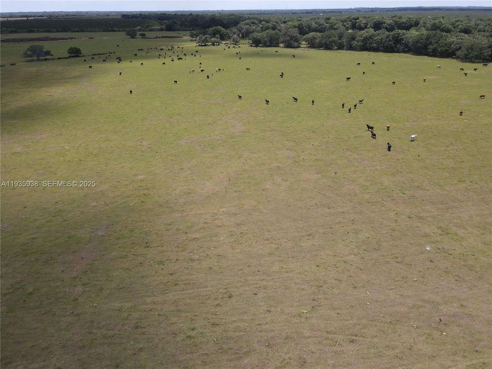 439 Acres of Agricultural Land for Sale in Arcadia, Florida