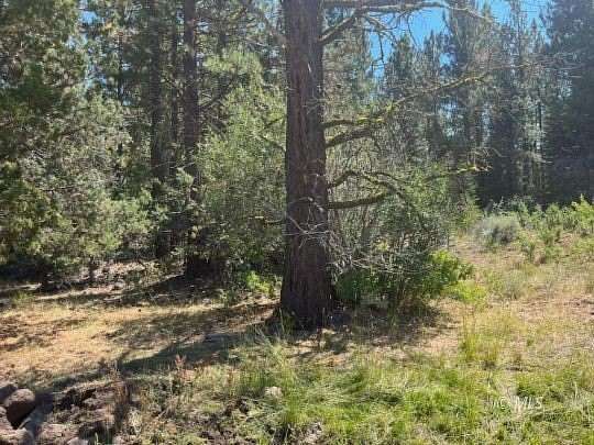 400 Acres of Recreational Land for Sale in Adin, California