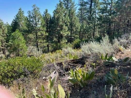 400 Acres of Recreational Land for Sale in Adin, California