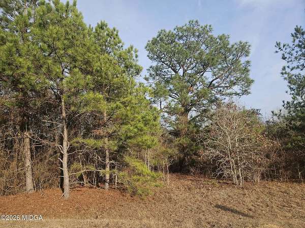 1.2 Acres of Residential Land for Sale in Macon, Georgia