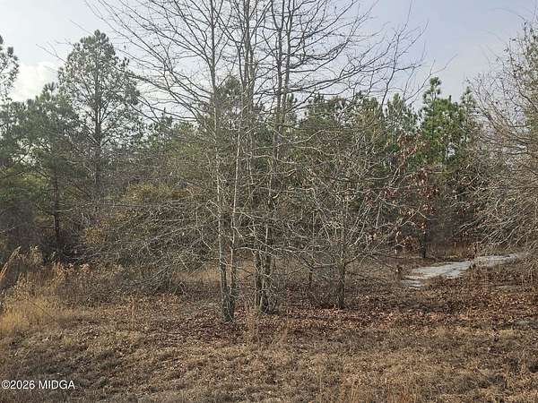 0.83 Acres of Residential Land for Sale in Macon, Georgia