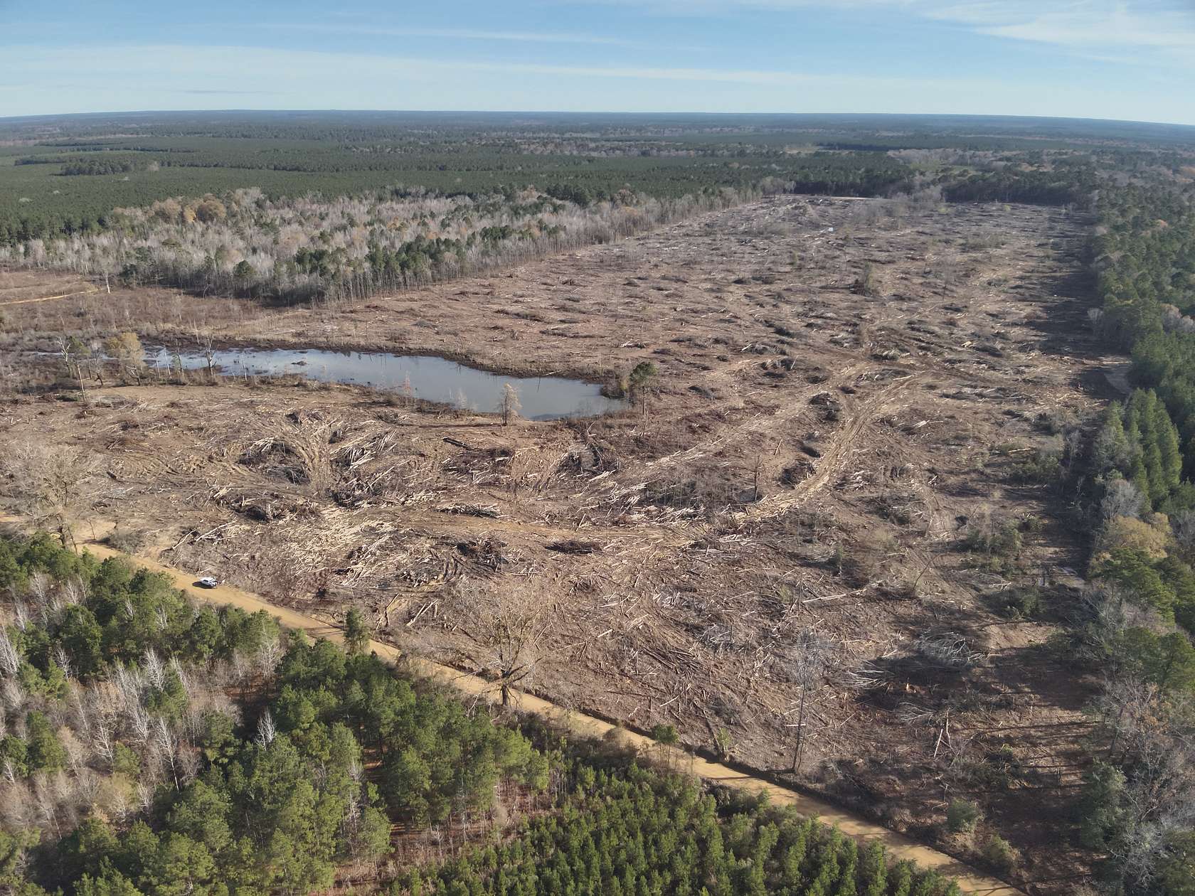 120 Acres of Land for Sale in Locust Bayou, Arkansas