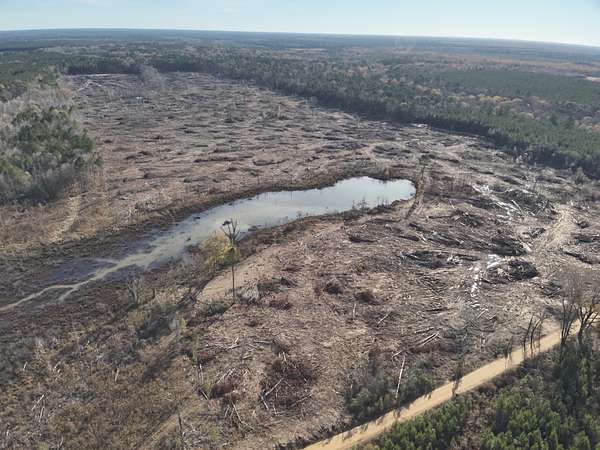 120 Acres of Land for Sale in Locust Bayou, Arkansas