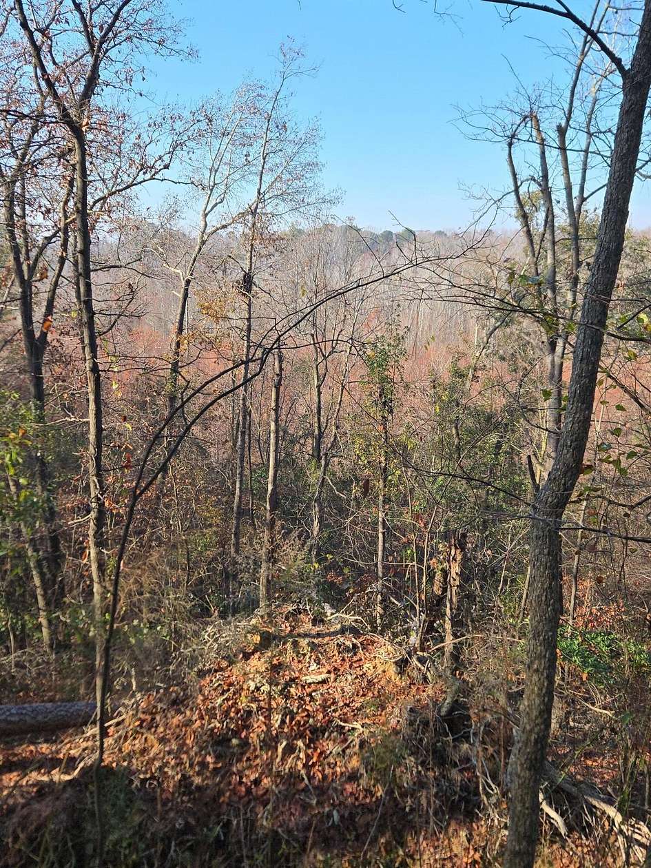 20 Acres of Recreational Land for Sale in Beech Island, South Carolina