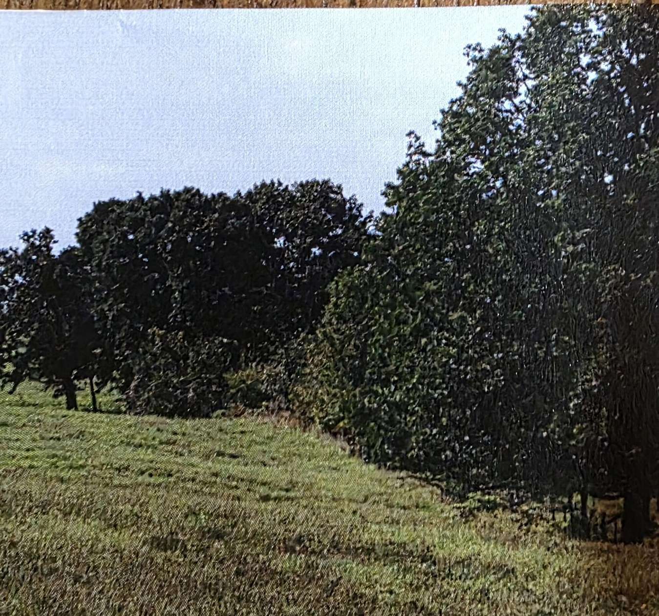 5 Acres of Residential Land for Sale in Nixa, Missouri