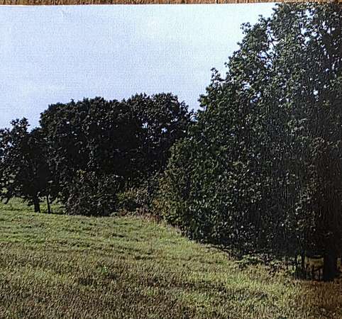 5 Acres of Residential Land for Sale in Nixa, Missouri