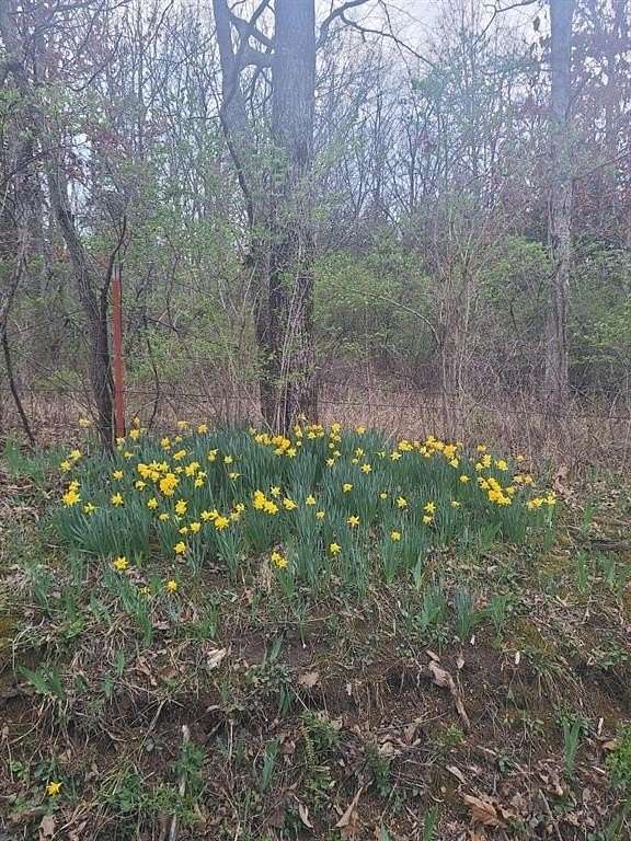 2.2 Acres of Residential Land for Sale in Lincoln, Missouri