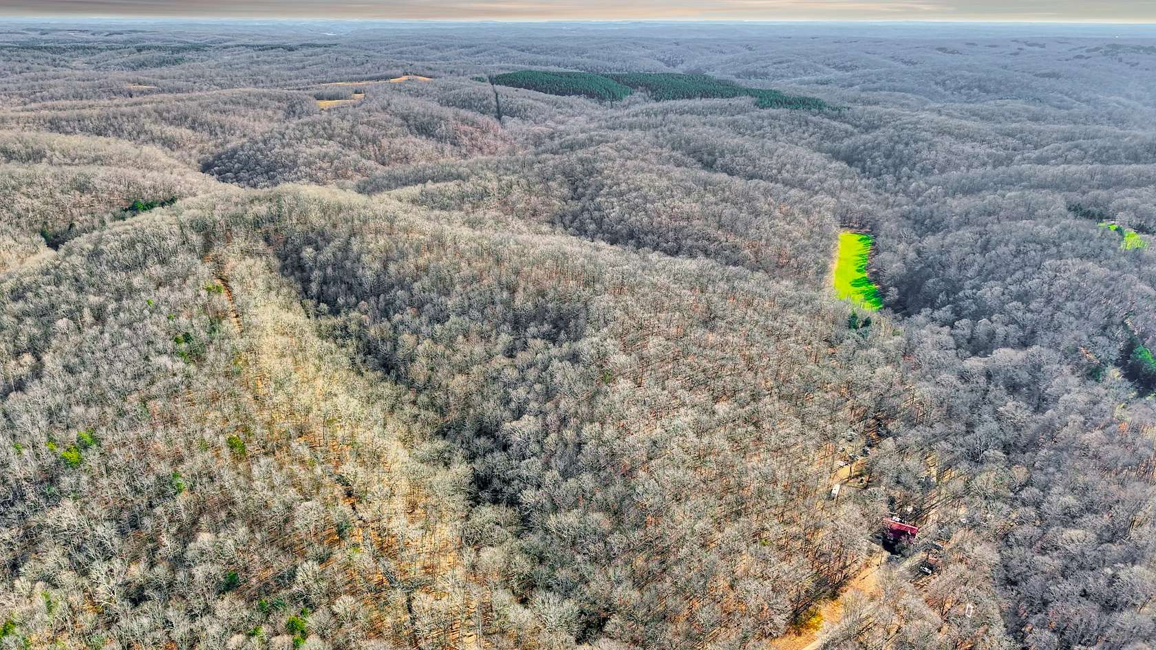 20.5 Acres of Recreational Land for Sale in Centerville, Tennessee