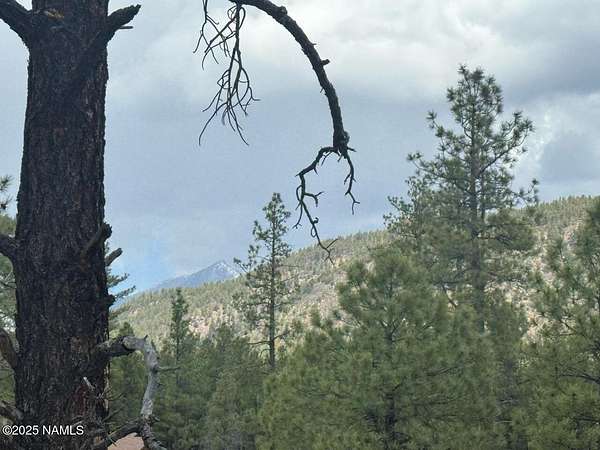 2 Acres of Residential Land for Sale in Flagstaff, Arizona