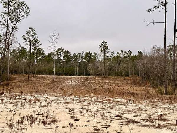 13 Acres of Land for Sale in Wewahitchka, Florida