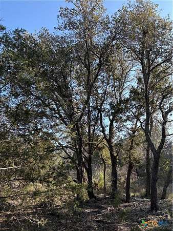 0.8 Acres of Land for Sale in Burnet, Texas