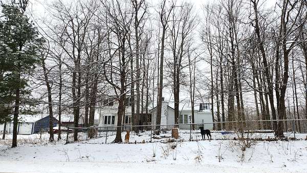 7 Acres of Land with Home for Sale in Onaway, Michigan