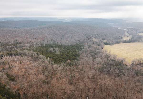 30 Acres of Recreational Land for Sale in Bourbon, Missouri