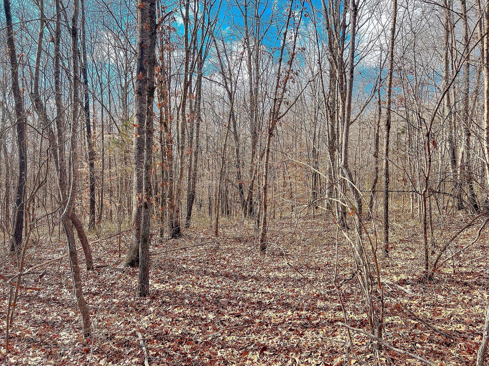 20.3 Acres of Recreational Land for Sale in Waynesboro, Tennessee