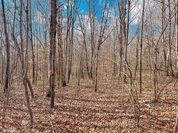 20.3 Acres of Recreational Land for Sale in Waynesboro, Tennessee