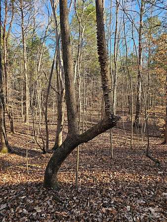 25 Acres of Recreational Land for Sale in Concord, North Carolina