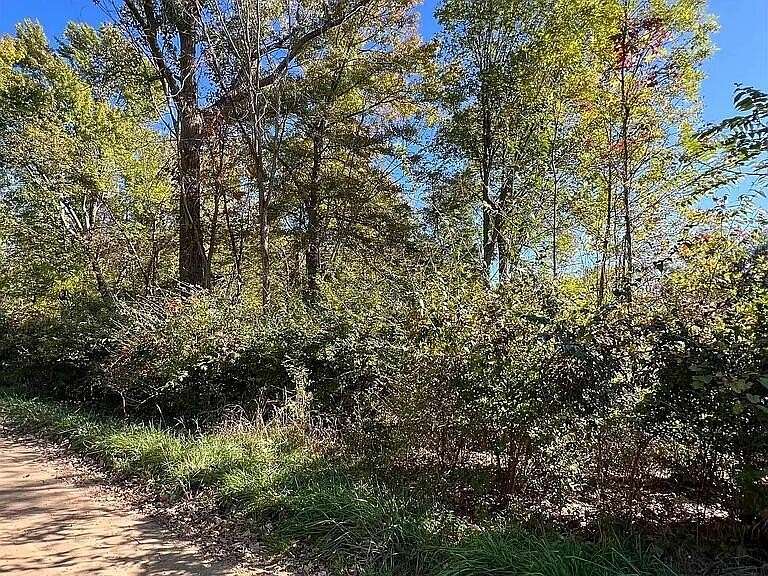 0.23 Acres of Land for Sale in Brooklyn, Michigan