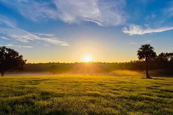 10.7 Acres of Agricultural Land for Sale in Reddick, Florida