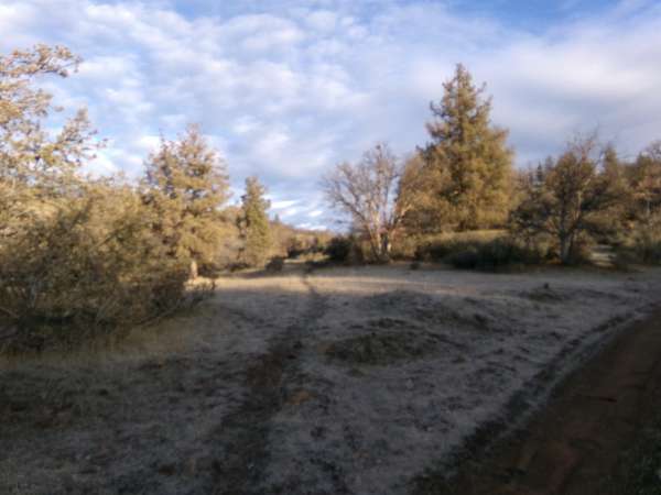 40 Acres of Recreational Land for Sale in Hornbrook, California