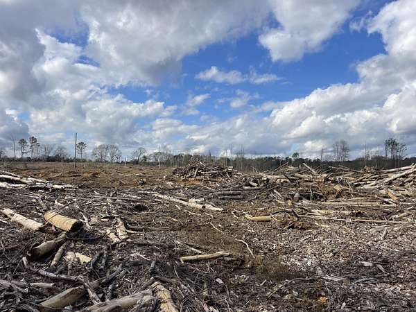 21.2 Acres of Land for Sale in Columbia, Mississippi