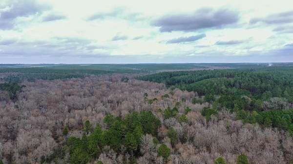 205 Acres of Recreational Land for Sale in Linden, Texas
