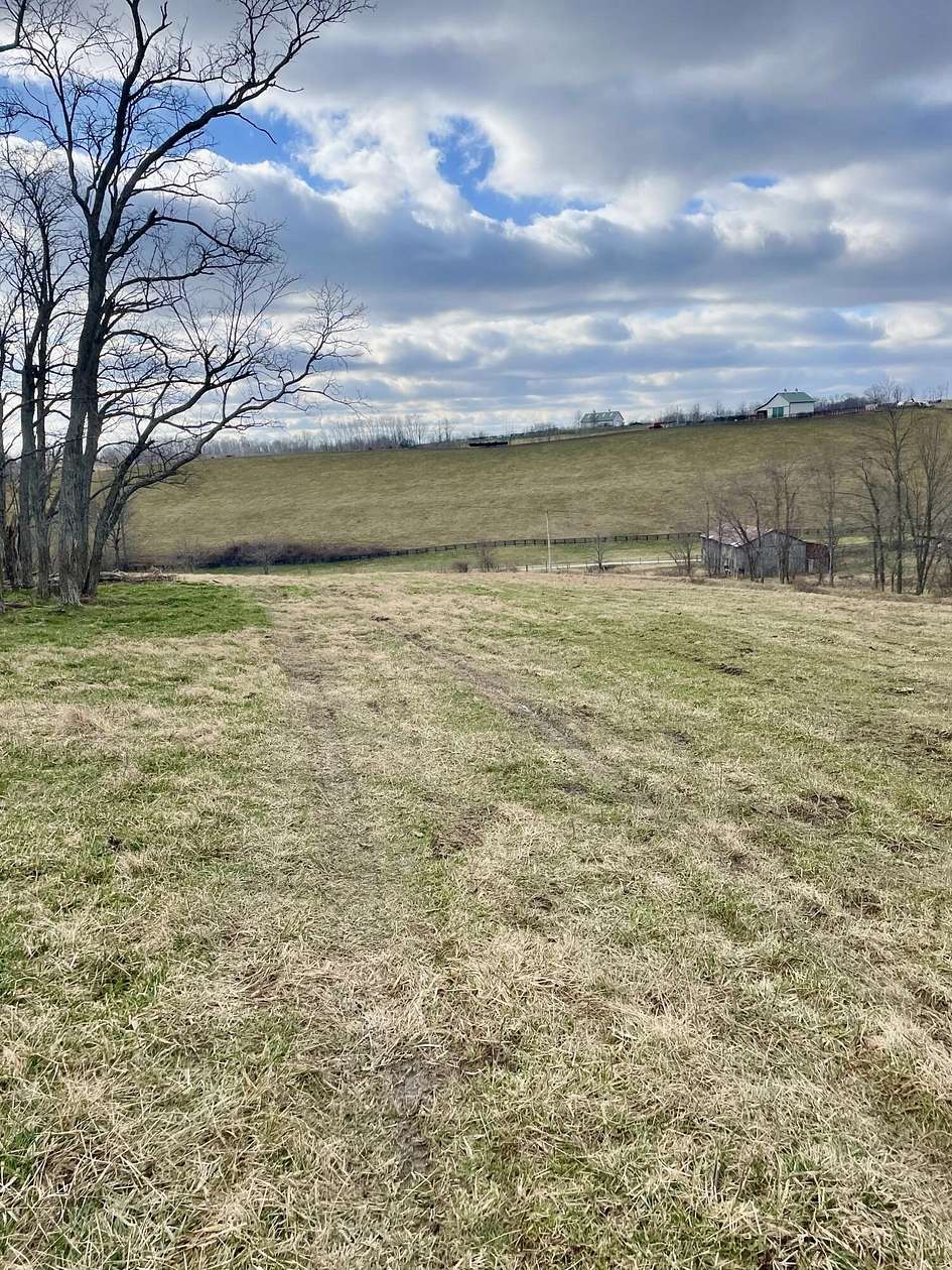 98 Acres of Agricultural Land for Sale in Carlisle, Kentucky