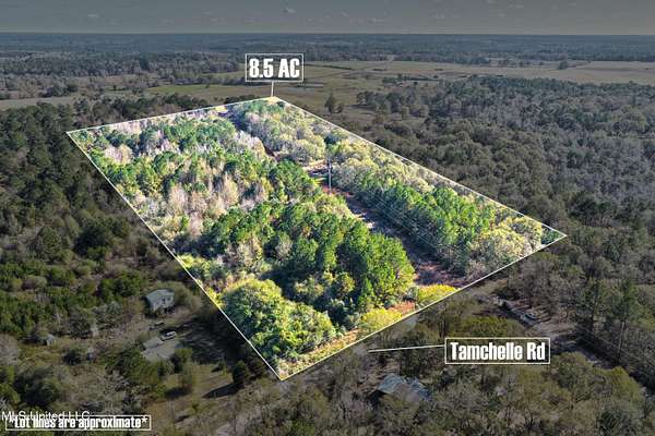 8.57 Acres of Land for Sale in Lumberton, Mississippi