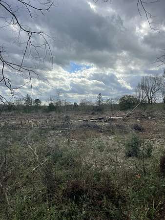 5 Acres of Residential Land for Sale in Columbia, Mississippi