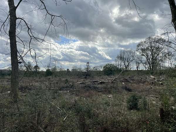 5.1 Acres of Residential Land for Sale in Columbia, Mississippi