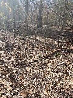 11.2 Acres of Land for Sale in Pioneer, Tennessee